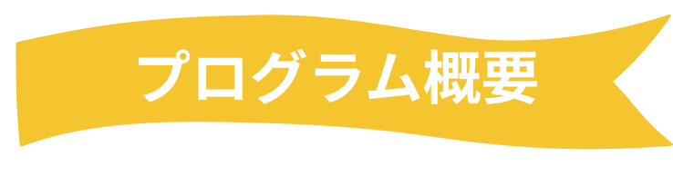 プログラム概要